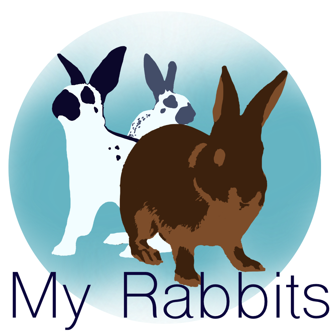 My Rabbits Image Link