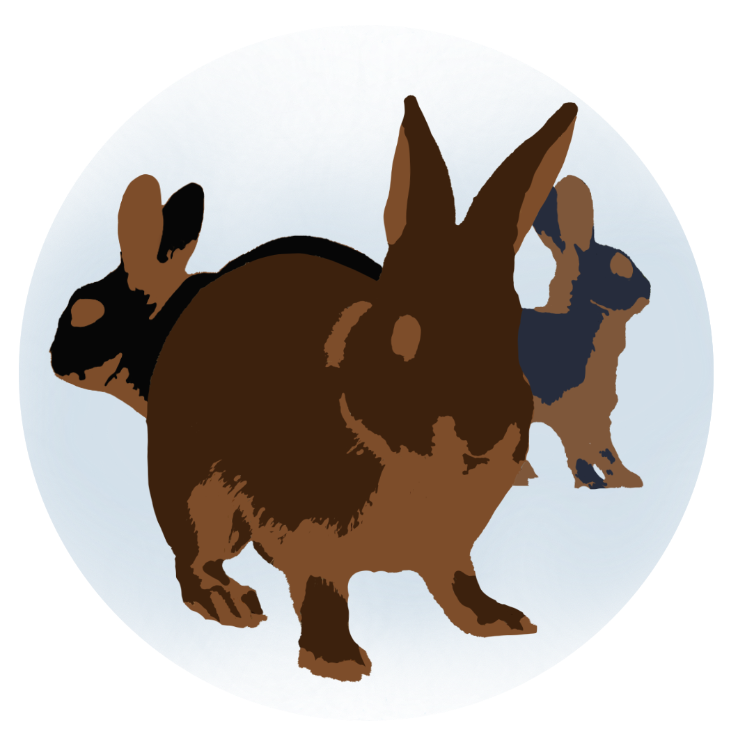 Tan Rabbit Image